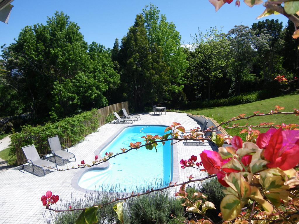 Stannards Guest Lodge 4 Star B&B, Knysna Buitenkant foto