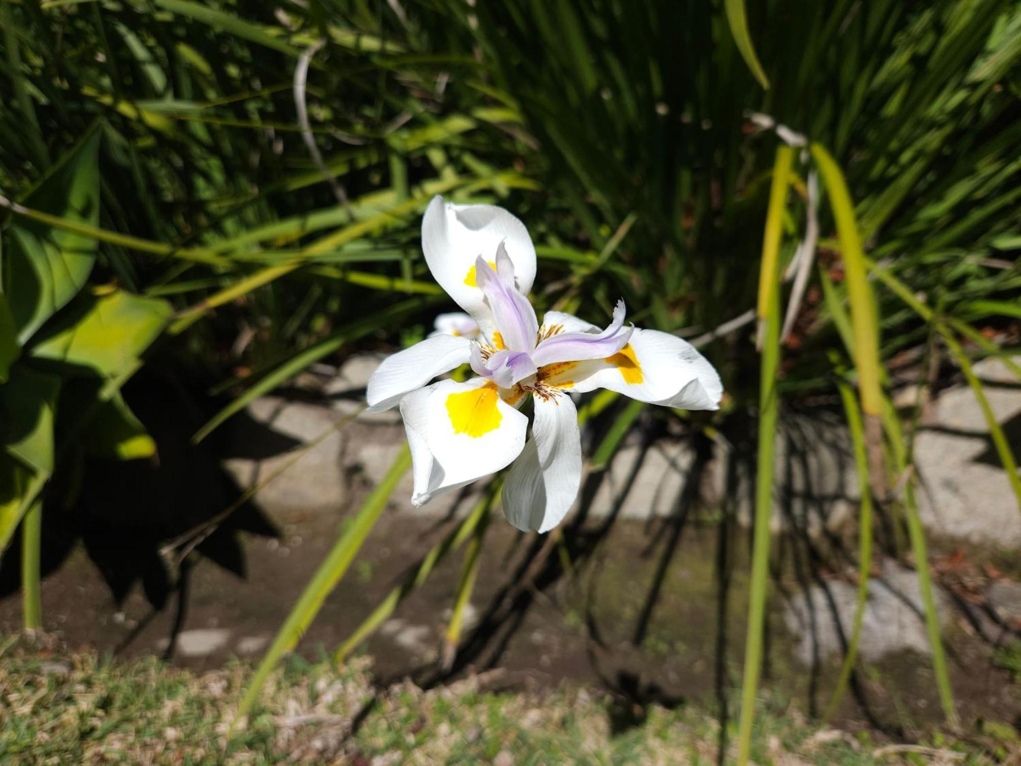 Stannards Guest Lodge 4 Star B&B, Knysna Buitenkant foto