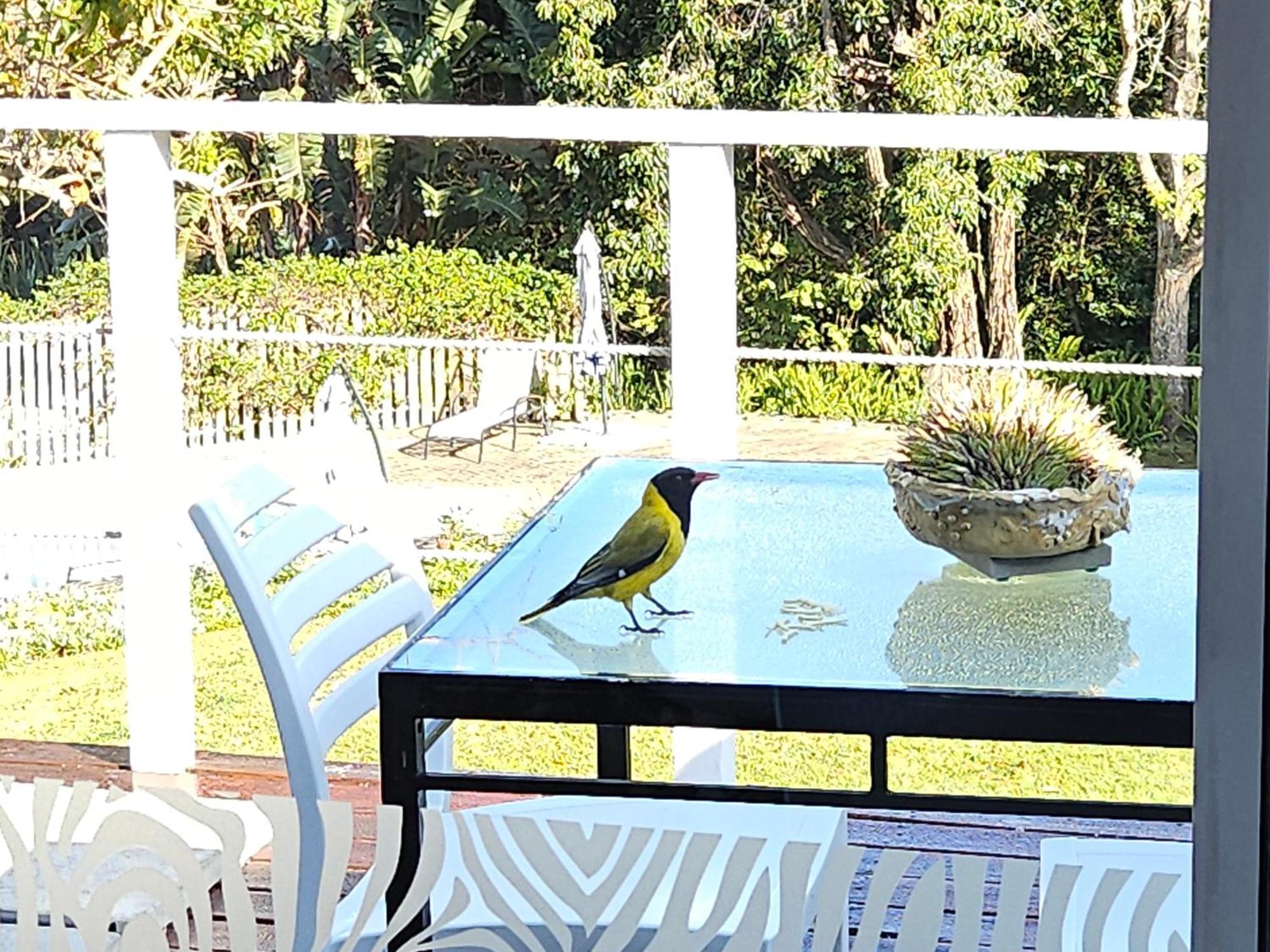 Stannards Guest Lodge 4 Star B&B, Knysna Buitenkant foto