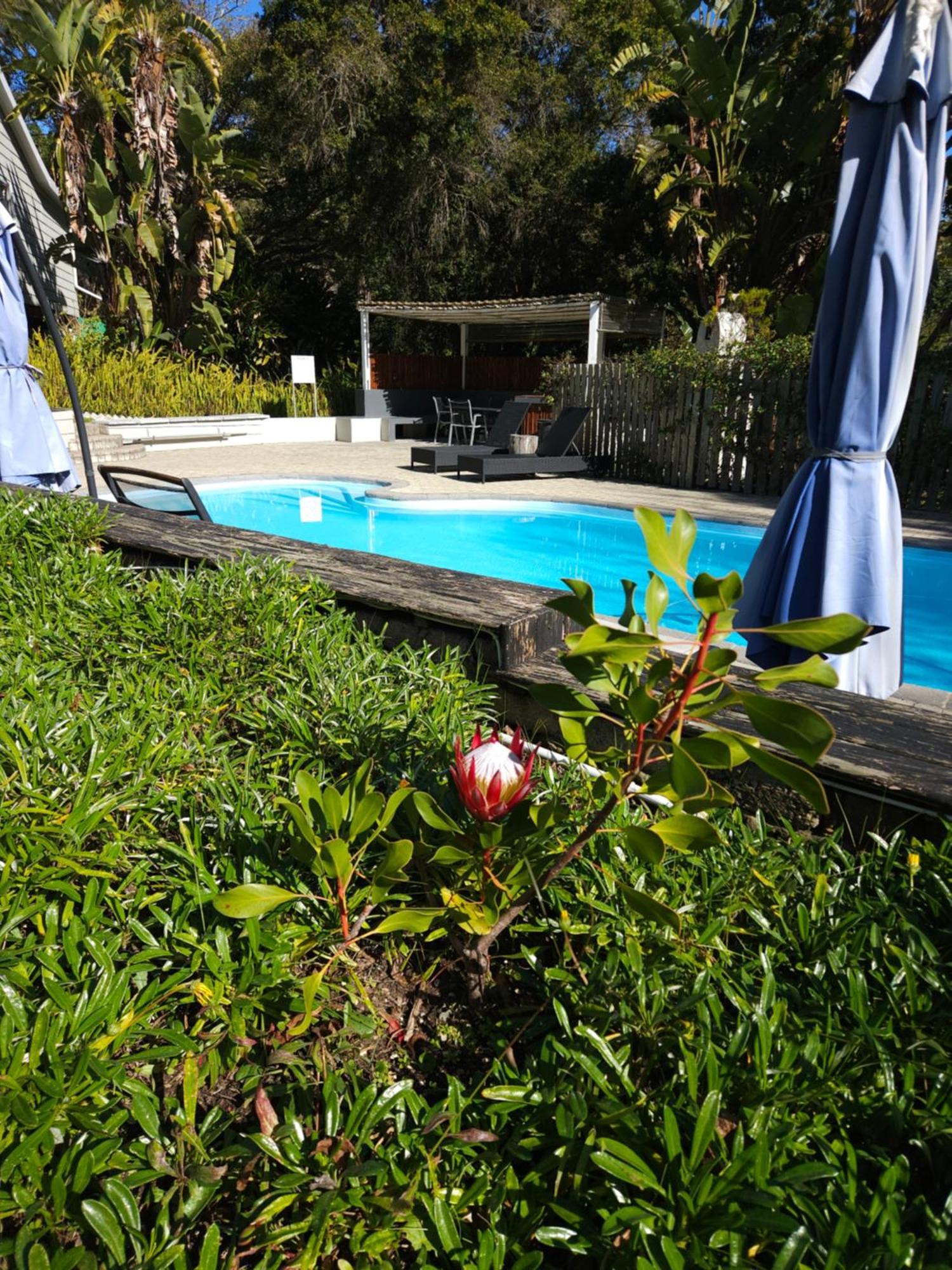 Stannards Guest Lodge 4 Star B&B, Knysna Buitenkant foto